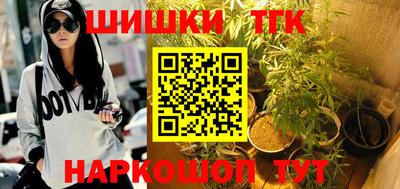 СК Новозыбков