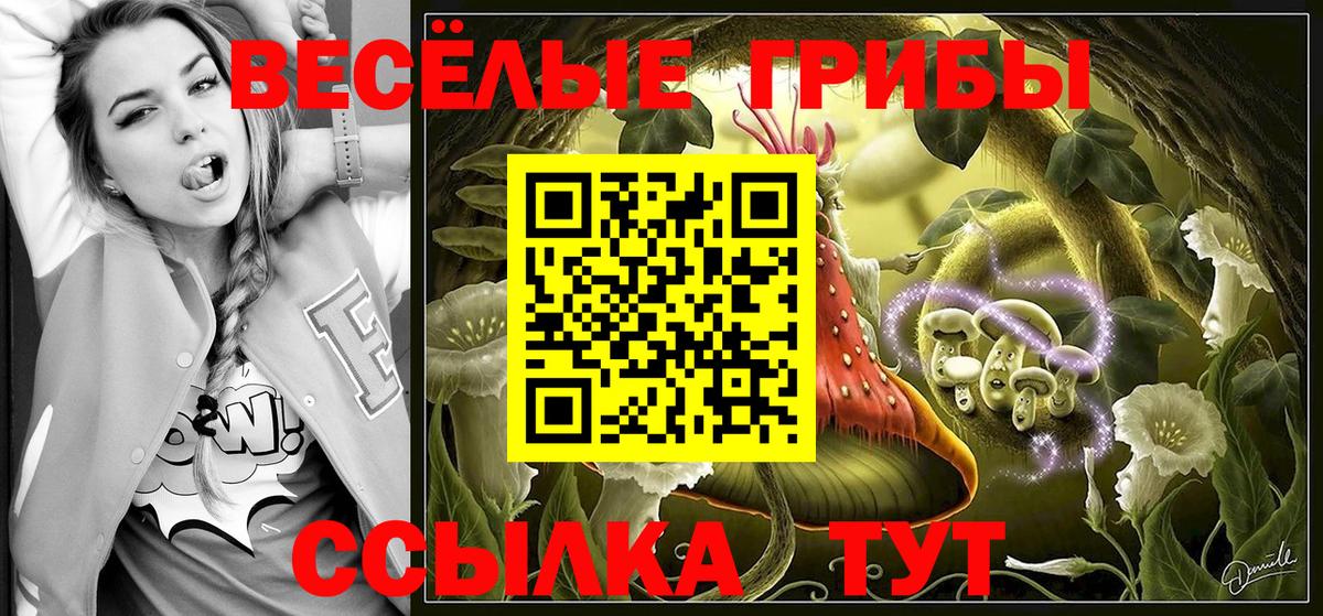 Галлюциногенные грибы MAGIC MUSHROOMS  Вход с VPN  Псилоцибиновые грибы ЛСД  Ступино 